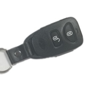 315MHzヒュンダイのキーFob 2ボタンのパニック サンタフェはPLNHM-T00車のリモートにアクセントを置く